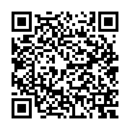 QR code for DG03216