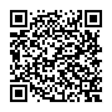 QR code for DG1951