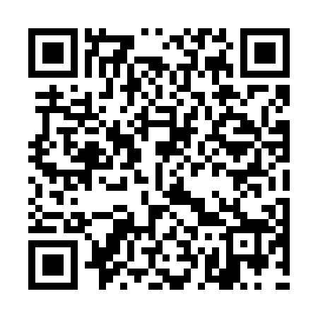 QR code for DG4608