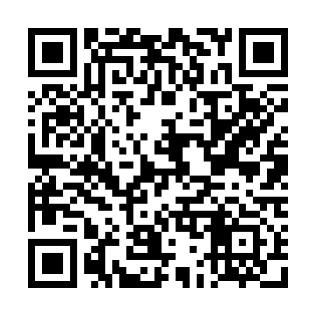 QR code for DG6313