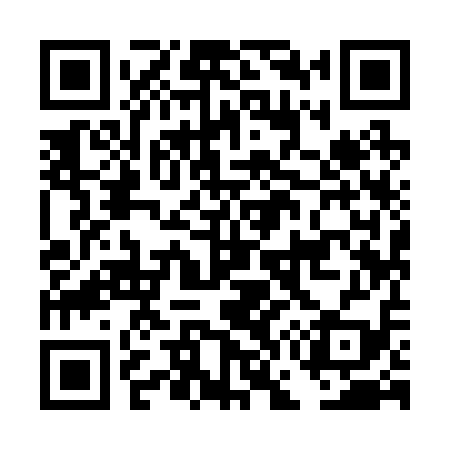 QR code for DG9219