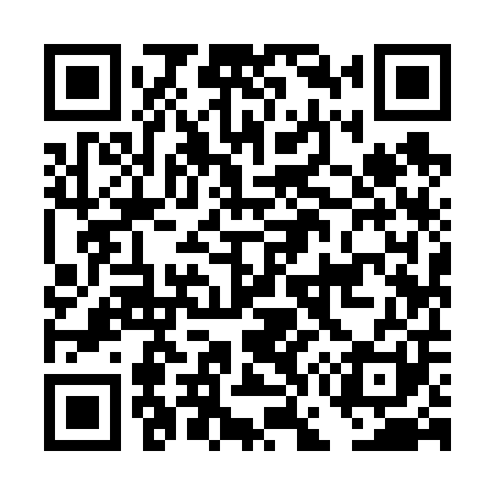QR code for DG9601