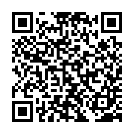 QR code for DGG383