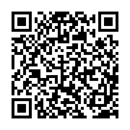 QR code for DGP393