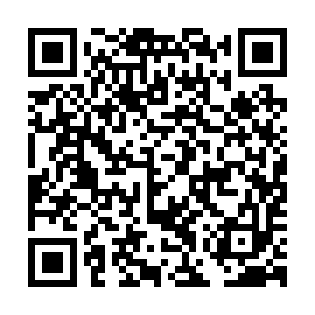 QR code for DGQ293