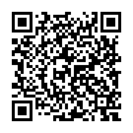 QR code for DHL913