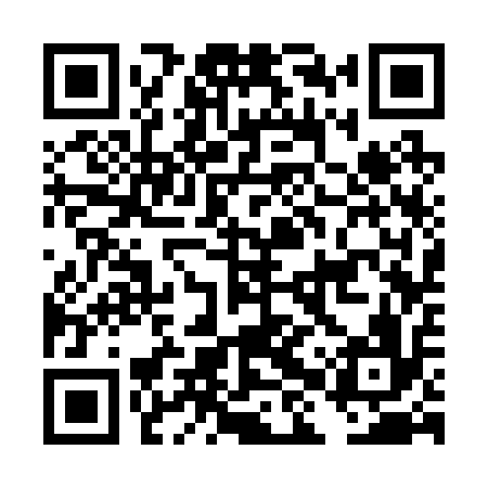 QR code for DHS216