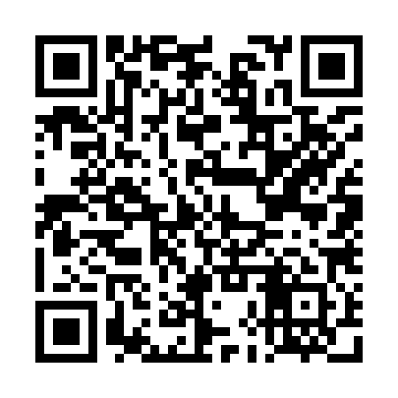 QR code for DHW981