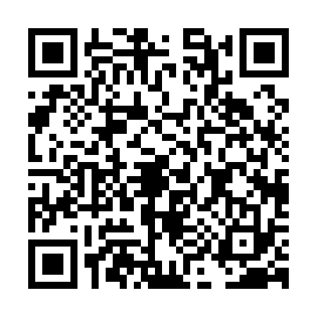 QR code for DI01336