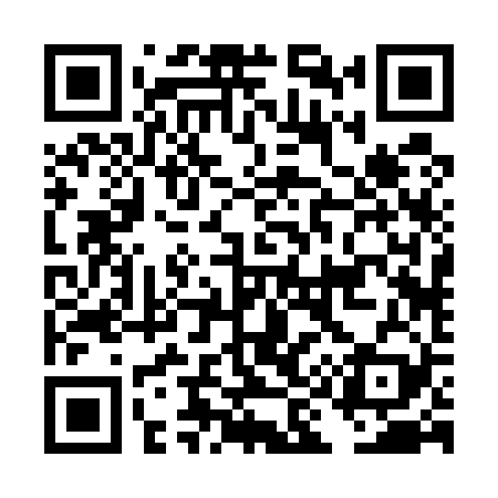 QR code for DI2529