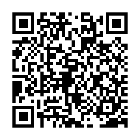 QR code for DI30653