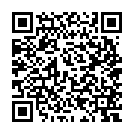 QR code for DI56417
