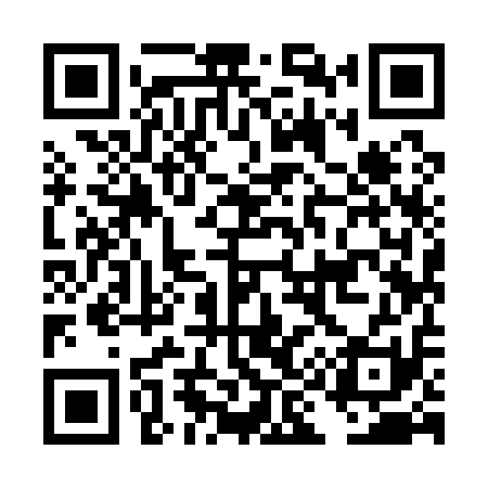 QR code for DI9111