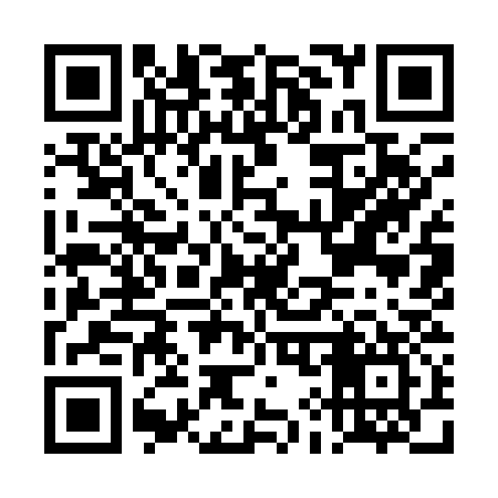 QR code for DI9137