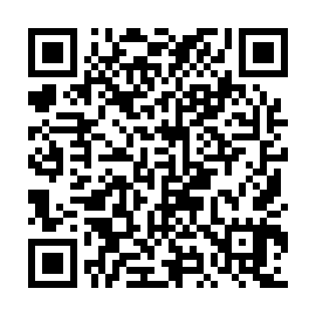 QR code for DI9145