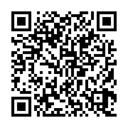 QR code for DIA528