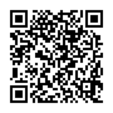 QR code for DIB397