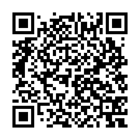 QR code for DIG334