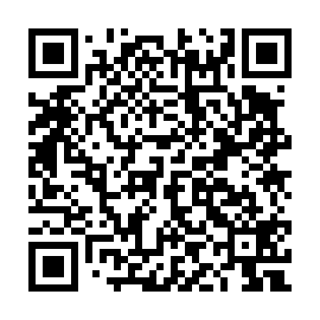 QR code for DIK419