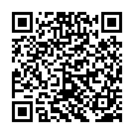 QR code for DIM203