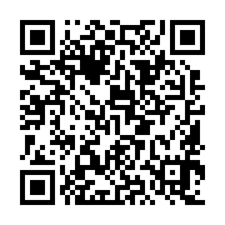 QR code for DIM295