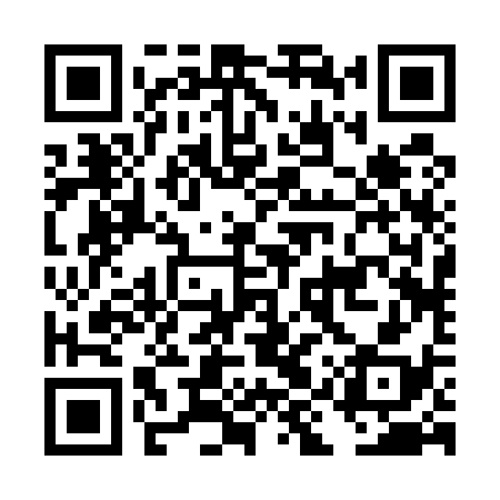 QR code for DIR538