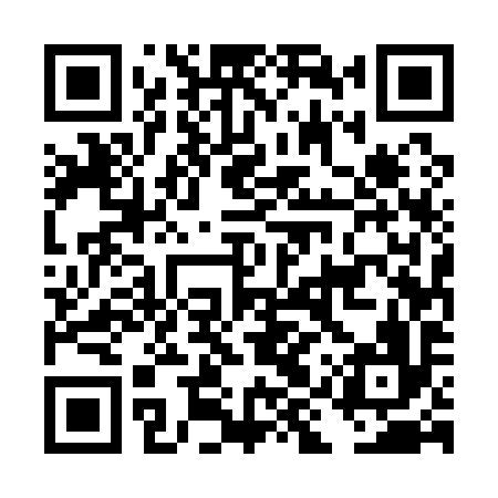QR code for DIU196