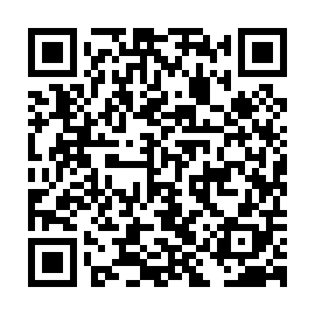 QR code for DIY008