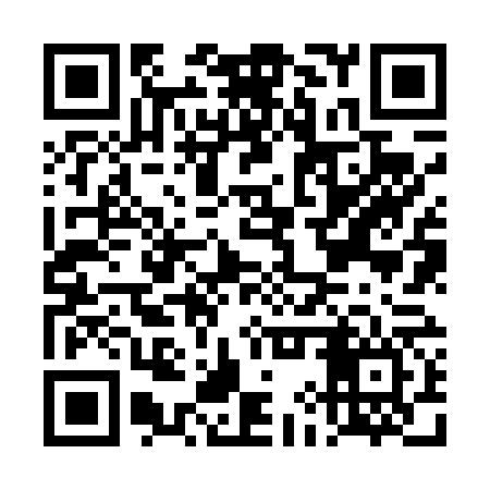 QR code for DIZ466