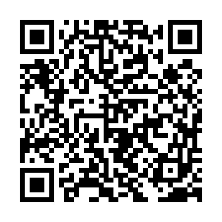 QR code for DIZ553