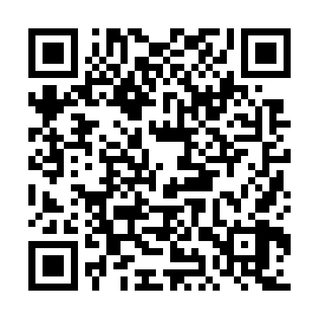 QR code for DIZ768