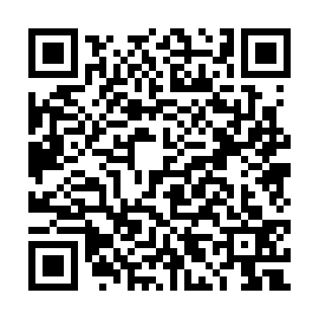 QR code for DL03335