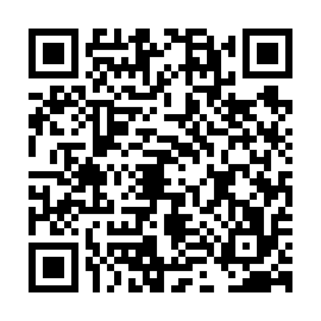 QR code for DL56163