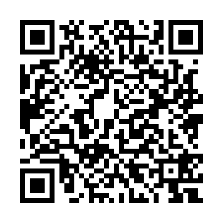 QR code for DL81285