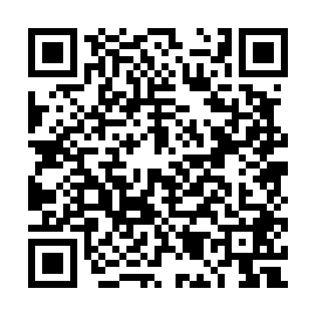 QR code for DM04489