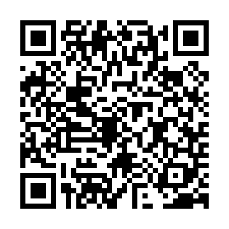 QR code for DM30497