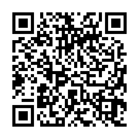 QR code for DM38220