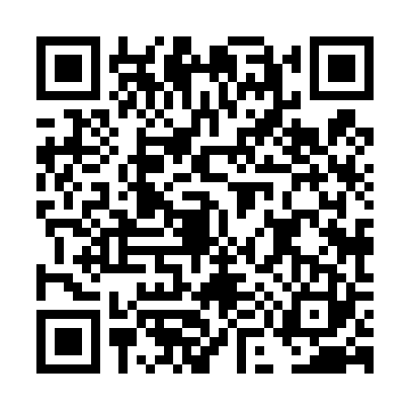 QR code for DM84238