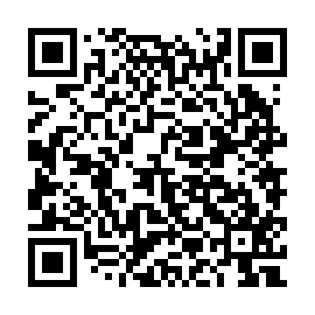 QR code for DMN217