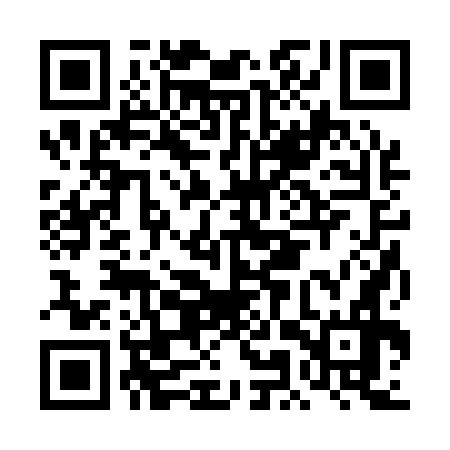 QR code for DMR176