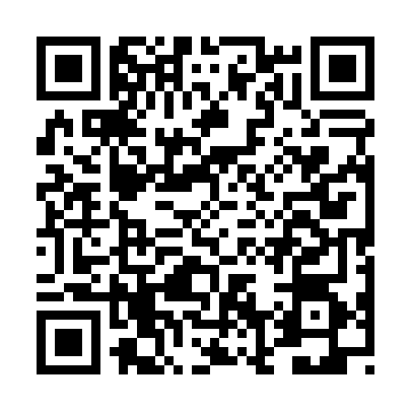QR code for DN50641