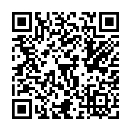 QR code for DN53317