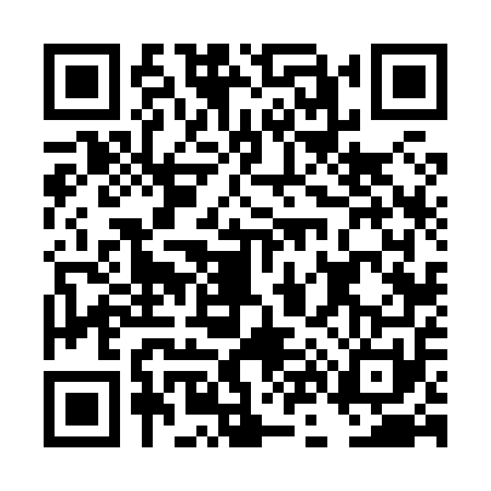 QR code for DN68513