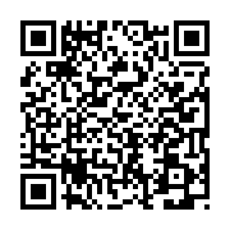 QR code for DN92411