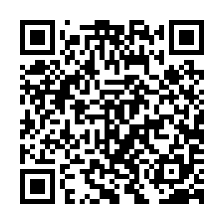 QR code for DOD295