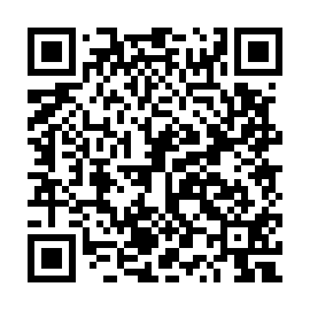 QR code for DP0511