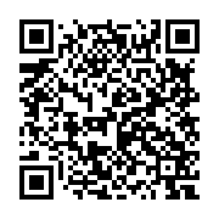 QR code for DP2863