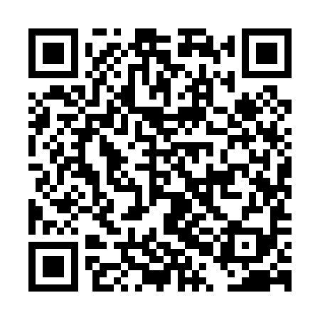 QR code for DPI099