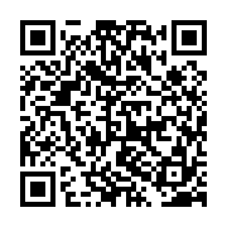 QR code for DPI132