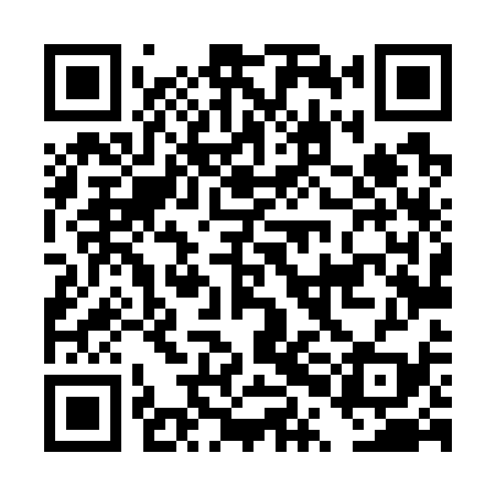 QR code for DPL739